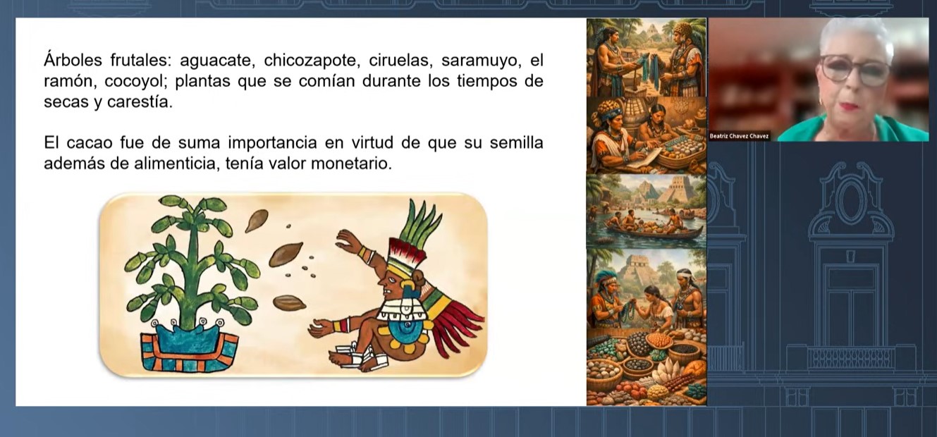 MAYAS COMERCIO_03.jpg