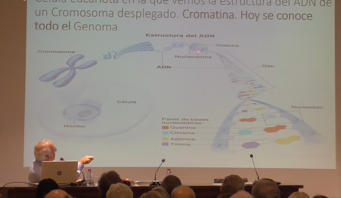 SALUD - EPIGENETICA_01.jpg