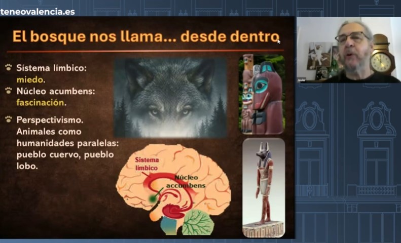 HOMBRE LOBO_01.jpg