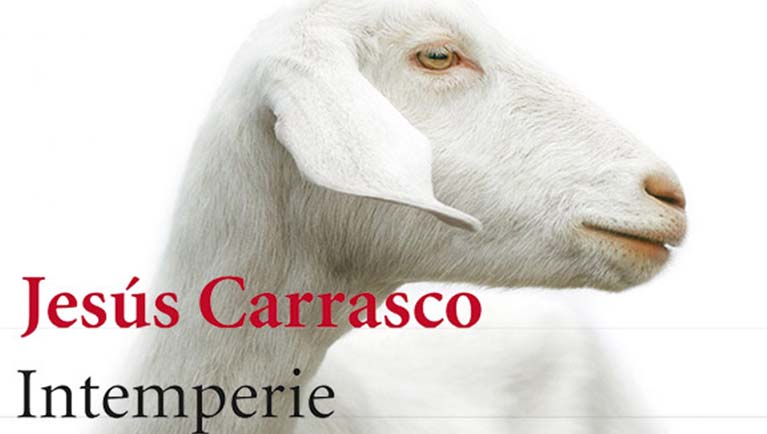 Imagen portada