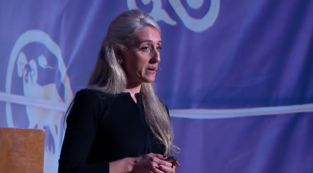 20251027 - Buscando Vida en Marte_01.jpg