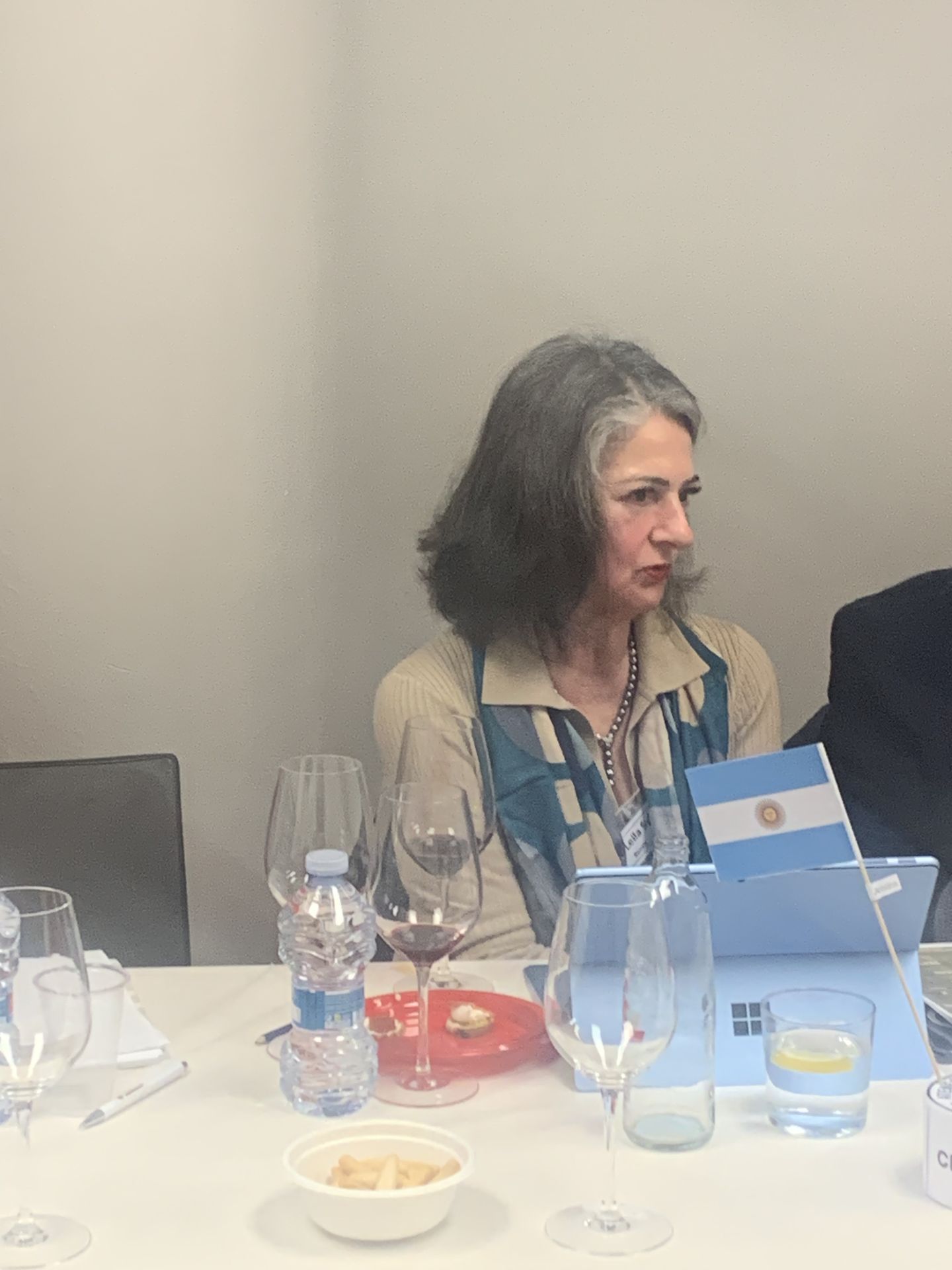 Leila- Explicando las bondades de los vinos Argentinos, Chilenos y Uruguayos.jpg