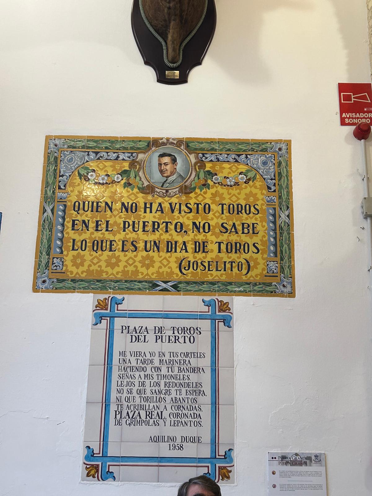 WhatsApp Image 2026-02-18 at 10.15.05.jpeg