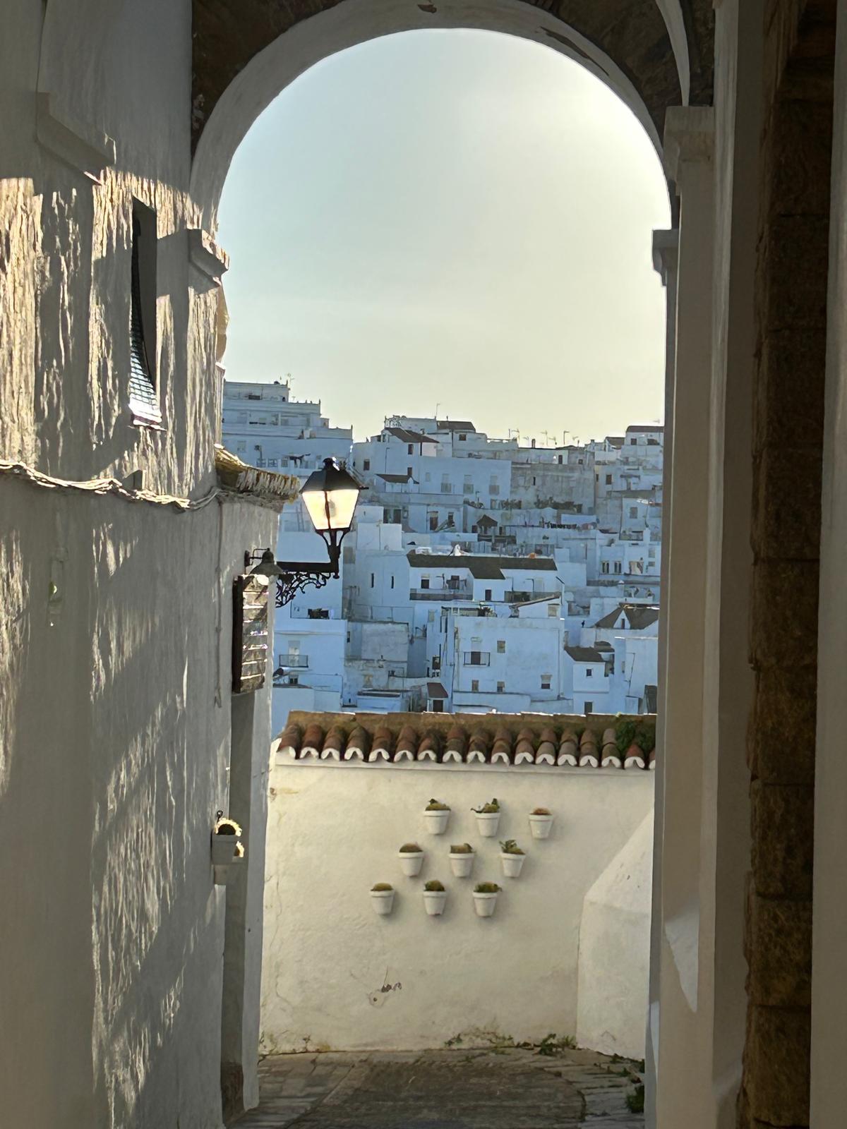 WhatsApp Image 2026-02-17 at 08.09.10 (2).jpeg