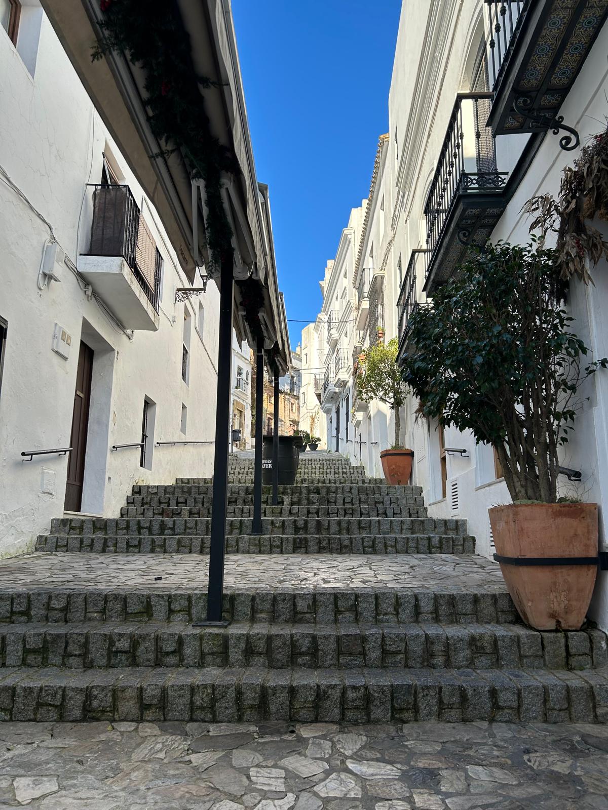 WhatsApp Image 2026-02-17 at 08.09.10 (1).jpeg